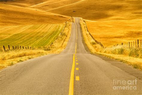 The GOLDEN ROAD Photograph by Alice Cahill | Fine Art America