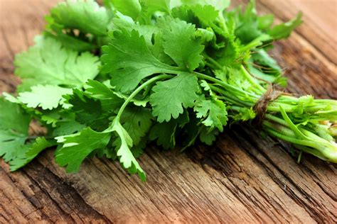 The Health Benefits Of Cilantro Alrightnow