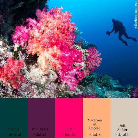 Pretty Coral Paint Color Combos Coral Color Schemes Color Schemes