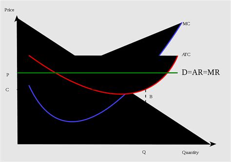 Marginal Profit Price Discrimination Short Run Marginal Revenue