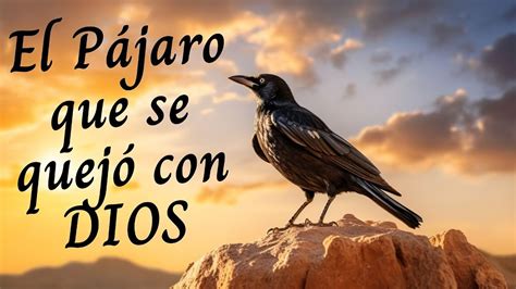 El pájaro que se quejó con DIOS Maravillosa reflexión YouTube