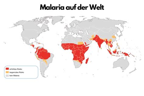 27 04 2023 Welt Malaria Tag Avanti GmbH Blog