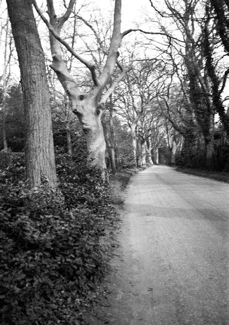 Norfolk picture index by date