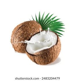 coconut royalty  images stock  pictures