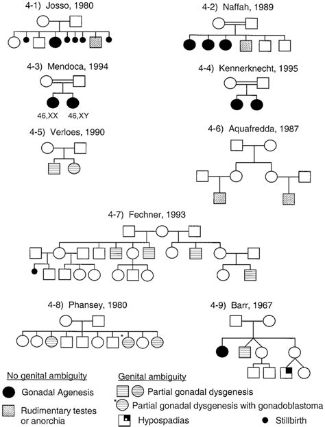 Pedigrees Of 46xy Gonadal Agenesis F Rudimentary Testes Or Anorchia