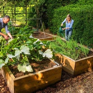 Wooden Raised Beds Harrod Horticultural