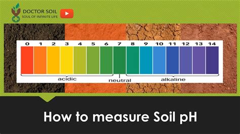 How To Measure Soil Ph Youtube