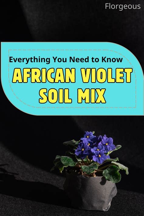 African Violet Soil Mix Everything You Need To Know In African