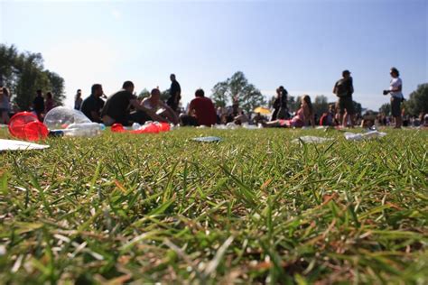 Festival Grass Free Photo Download Freeimages