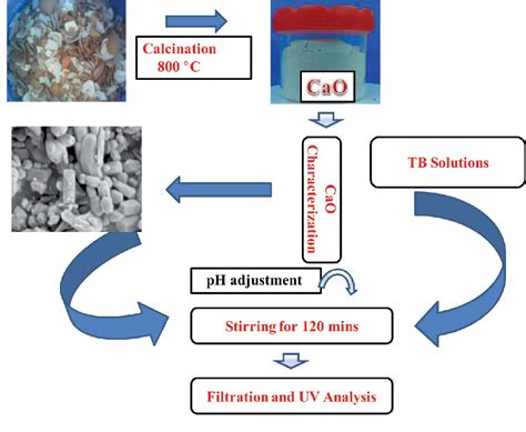 Figure 1 From Eggshell Derived Calcium Oxide Nanoparticles For