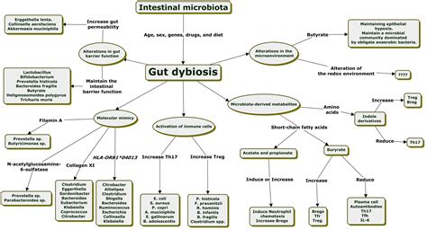 Gut Joint Axis Gut Dysbiosis Can Contribute To The Onset Of Rheumatoid