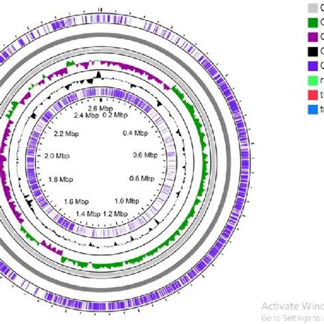 Genome Atlas Of Strain NT04 The Atlas Shows A Circular View Of The