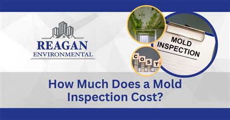how much does it cost to get a mold inspection