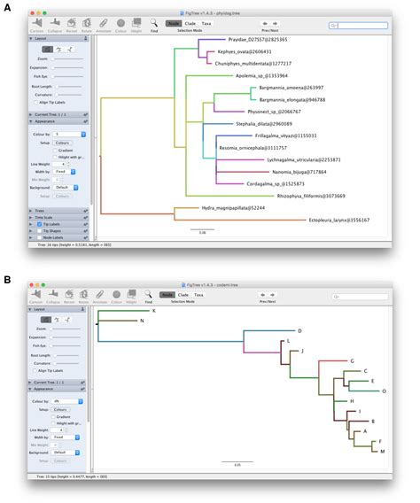 Chapter 3 Exporting Tree With Data Data Integration Manipulation And