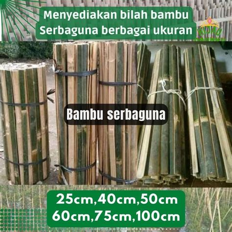 Jual Plant Stake Bambu Bilah Raut Turus Ajir Tiang Penyangga Panjang