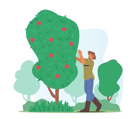 Premium Vector Man Farmer Pick Apples Male Gardener Character