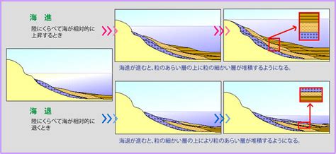 地層の形成について（地層のでき方） ジオ学習｜島根半島・宍道湖中海ジオパーク