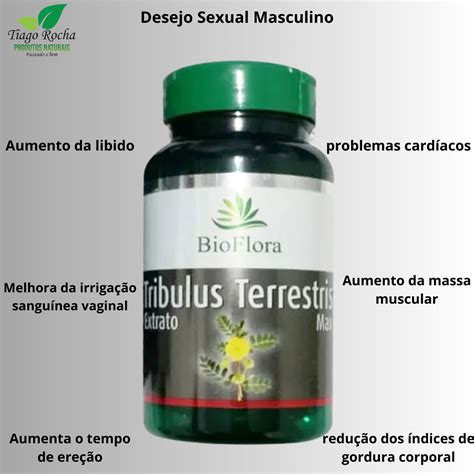 Ativador Sexual Tribulus Terrestris C Ps Produtos Naturais Tiago