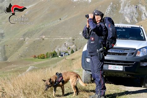 Carabinieri forestali anno record La Fedeltà