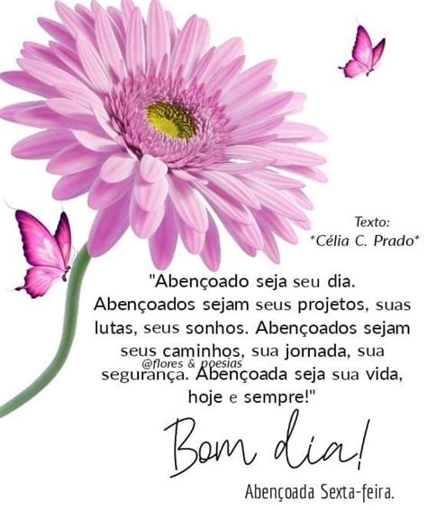 Pin De Natalia Em Bom Dia Mensagens Carinho Bom Dia Flores