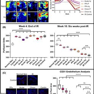 Dermal Microvasculature Analysis A Laser Doppler Perfusion Imaging