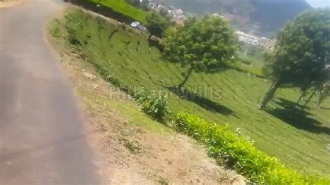 Lac Cents Residential Plot For Sale In Ooty