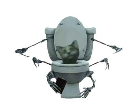 Cat Toilet's probable current appearance | Fandom