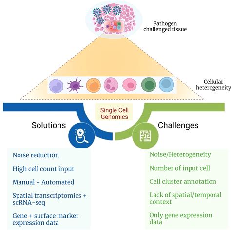 Frontiers Cellular Heterogeneity In Disease Severity And Clinical