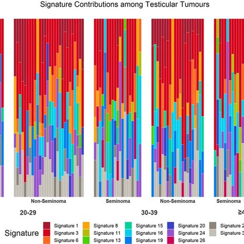 Recursively Partitioned Mixture Model Of Common Mutational Signature