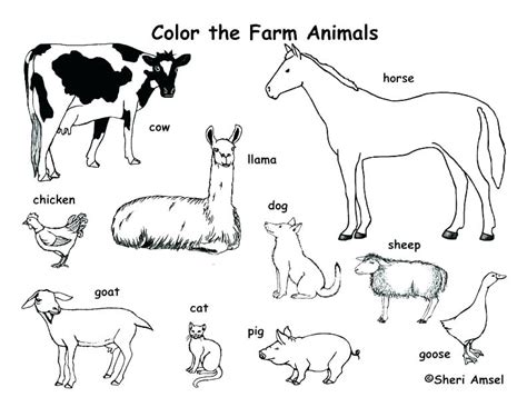 Farm Equipment Coloring Pages At Getcolorings Free Printable