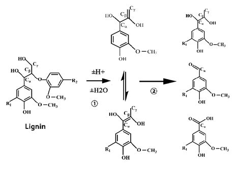 The Degradation Reaction ① And Polycondensation ② Of Lignin