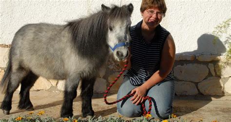 10 of the Amazing Horse Breeds from Around the World