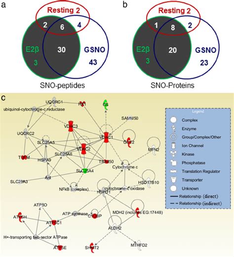 Mitochondrial Nitroso Proteomes In Huvecs Overlaps Of The