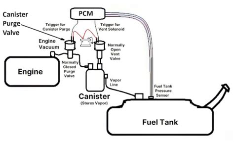 Location Of Vapor Canister Purge Valve At Madison Rosales Blog