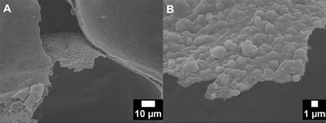 Scanning electron micrographs of a 30/70 S/H 50/50 W/O composite ... 