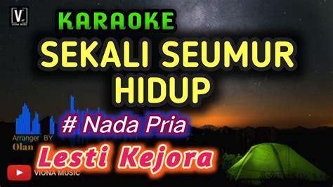 KARAOKE SEKALI SEUMUR HIDUP LESTI NADA PRIA YouTube