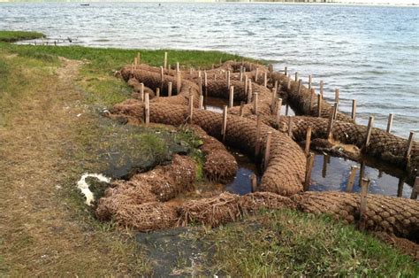 Erosion Control Coir Logs Biodegradable Coir Fiber Logs Buy Coconut