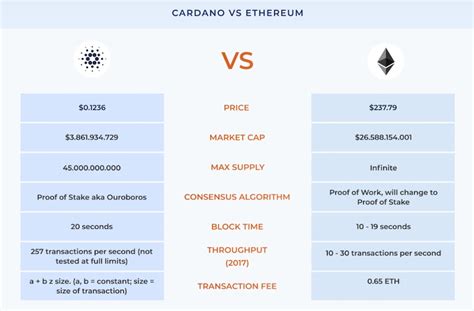 Cardano Vs Polkadot Which One Is Better Moralis Academy