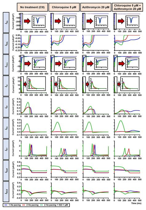 Frontiers Beta Adrenergic Receptor Stimulation Modulates The Cellular