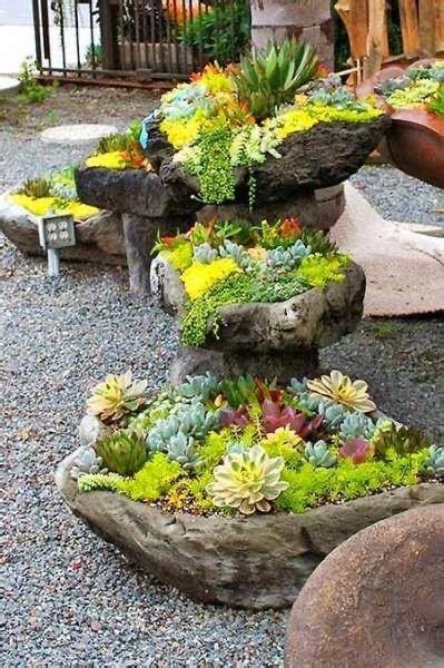 20 Beautiful Succulent Displays For Outdoor Landscaping