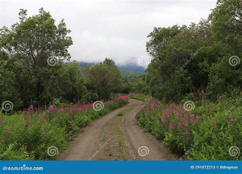 Valley Of Ten Thousand Smokes Katmai National Park Stock Image Image