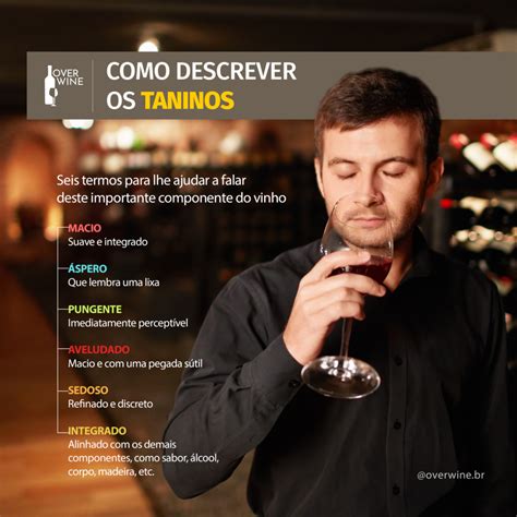 Taninos O Que é Essa Famosa Substância Do Vinho