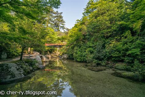 Life of a Lil Notti Monkey: Iwaso Ryokan, Miyajima Island