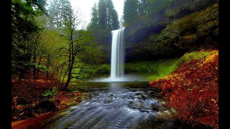 Imagenes De Naturaleza En Movimiento Gratis En Hd Gratis Para Descargar Images