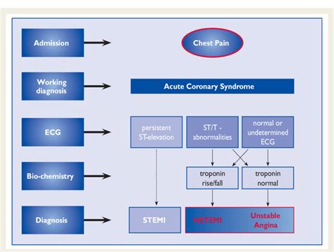 The Spectrum Of Acs Ecg ¼ Electrocardiogram Nstemi ¼ Non St Elevation