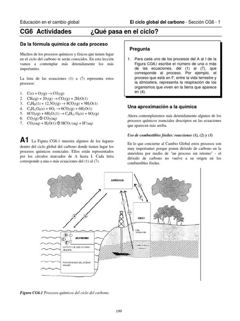 PDF Ciclo Del Carbono Open DOKUMEN TIPS