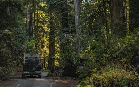 Premium Photo | Camper van road trip to the california redwoods