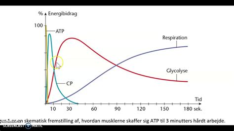 4.2 aerob + anaerob energiomsætning i musklerne - YouTube