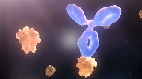 Anti Drug Antibodies Hybrid Medical Animation