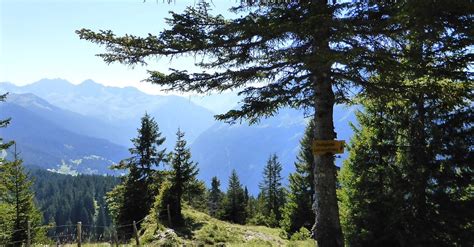 H Henwanderung Von Innerberg Zum Kristberg Bergfex Wanderung Tour